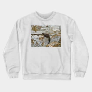 California Ground Squirrel-dom Crewneck Sweatshirt